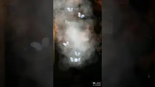 Лайк(13)