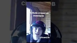 Og Buda сгорел на скамеров