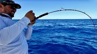 INSANE JIGGING & POPPING