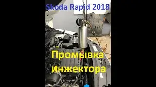 Шкода Рапид 2018  Промывка инжектора