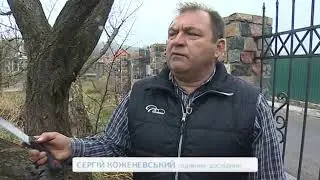 Зимняя обрезка деревьев - практические советы