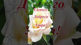 Доброе Утро!
