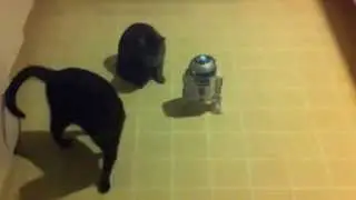 R2-D2 vs Mr Rumbles