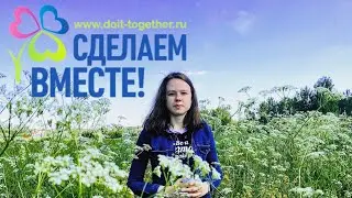 Визитная-карточка - Я «эколидер» всероссийской акции «Вода и Здоровье» движения «Сделаем вместе»