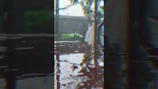 Rain🖤