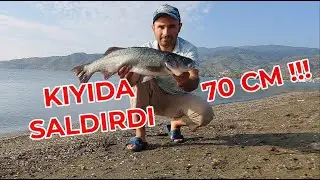 TROFE LEVREK AVIM SU ÜSTÜNE EFSANE SALDIRI 