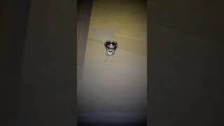 Robot Dog Surprises Little Senz 😱