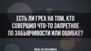 598. Есть ли грех на том, кто совершил что то запретное по забывчивости или ошибке?