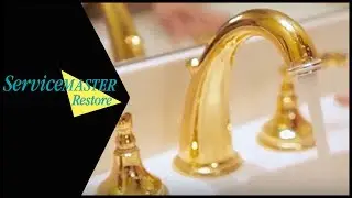 Mold Safety - How Can I Help Prevent Mold in my Bathroom - ServiceMaster Restore