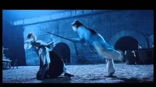 CELESTIAL SATURDAY: KUNG FU MASTERS SPECIAL