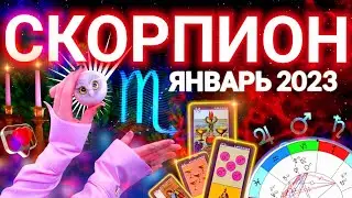 ‼️ СКОРПИОН ПРОГНОЗ НА ЯНВАРЬ 2023 | СТАРТ ГОДА | ЧТО ЖДЕТ ТЕБЯ? ТАРО ГОРОСКОП! АСТРОЛОГ СЕВЕРЬЯНОВА