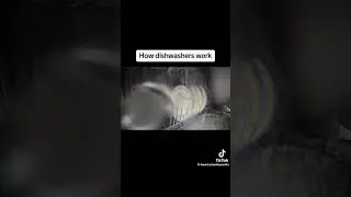 how to use dishwasher