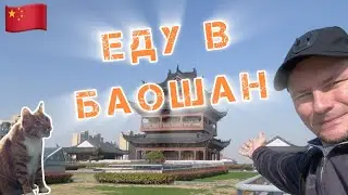 Подстригаться на край Шанхая. Старое место жительства. Показал кота