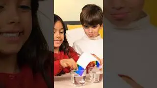 Fun Rainbow Water Science Experiment for Kids 🌈 