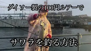 【奇跡】雨の堤防で神釣果！100円ルアーで50cmサゴシGET！🎣