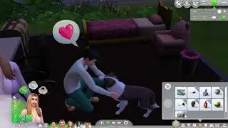 The Sims  старшая сестра роды всё как хотела