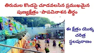 papavinasam tirupati | papavinasam theertham tirumala tirupati | పాప వినాశనము తిరుమల
