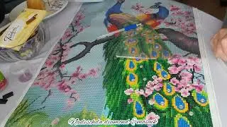 Выпуск 860/Павлины/Алмазная мозаика/Процесс/