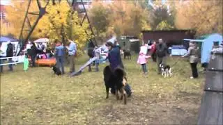 Апачи выставка милениум 05 10 2014