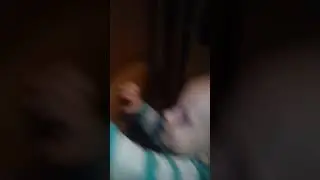 Миша у бабушки + котёнок )
