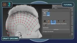 Ornatrix 3ds Max v8 | How to use Graft Grooms?