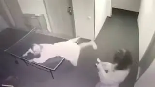 жесть