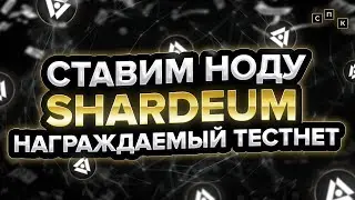 СТАВИМ НОДУ SHARDEUM - НАГРАЖДАЕМЫЙ ТЕСТНЕТ