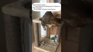 Зарплаты . Короткий  анекдот. #анекдототкожаного
