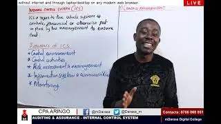 INTERNAL CONTROL SYSTEM (ICS) - AUDITING & ASSURANCE