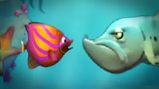 BARRACUDA SHOWDOWN - WammyCast Highlights 2016