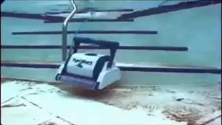 TigerShark