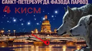 Ночной город & ночной волк смотрите до конца и подпишитесь на канал Ставьте лайк 👍