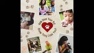 Interactive Pet Parent