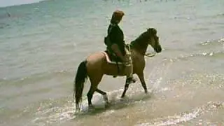 CLIP0022