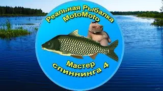 🎣 Квест 