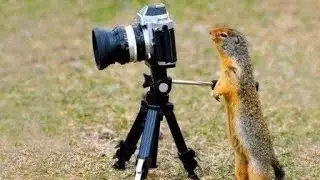 Сам себе РИЖИССЁР📷🎥   Школа !!!  Медицина !!! и НЕ родитель!!!