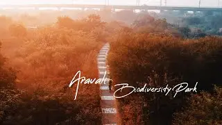 ARAVALI BIODIVERSITY PARK GURGAON | GURUGRAM DLF | ARAVALI HILLS, RUNNING & CYCLING TRACK