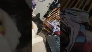 Riley Love Nips An Kisses