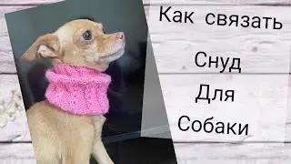 Вязаный снуд для собаки узором "Ажурный колосок" / как связать снуд для собаки
