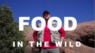 Food and the Zombie Apocalypse | BUNKER LIFE