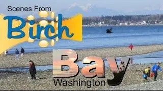 Birch Bay Washington - Scenes From Birch Bay State Park  In Northwest Washington Near Vancouver B.C.