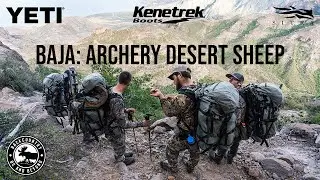 ARCHERY DESERT SHEEP HUNT BAJA MEXICO