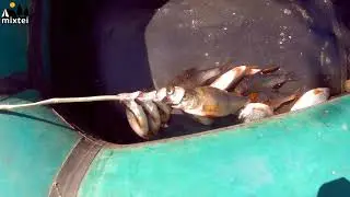 🐟Summer boat fishing | Fishing 24 hours | Fishing 2021