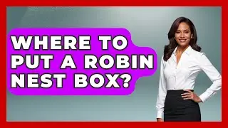 Where To Put A Robin Nest Box? - Bird Watching Diaries