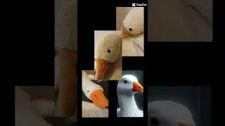 гуси⃢♡♡♡