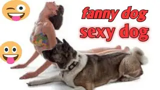 funniest dog and cat video 2023