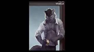 Baldinini furry