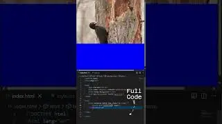How to Add Background Video in HTML & CSS | 