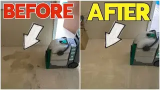 How To Deep Clean Carpet and Remove Tough Stains with Lowe’s Carpet Cleaner Rental Review