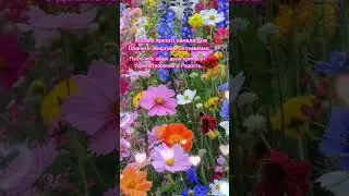 Доброе утро,хорошего дня открытки на каждый день #открытка #доброеутро #видеооткрытка #доброеутречко